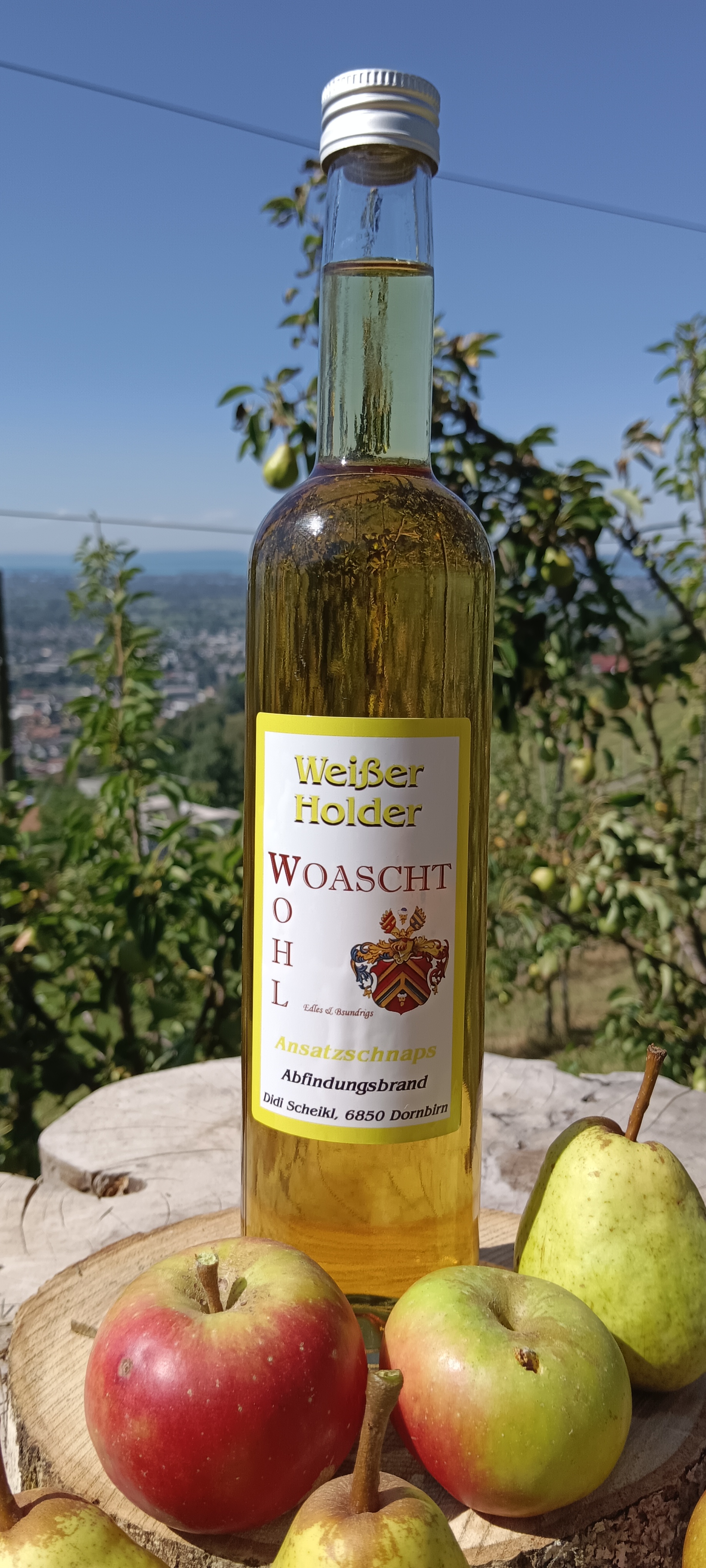Weißer Holder (Holunder)